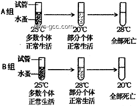 人长期生存的水温范围：恒温水体中的奥秘